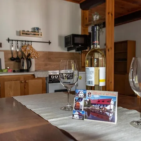 Apartment Ve Mlyne *